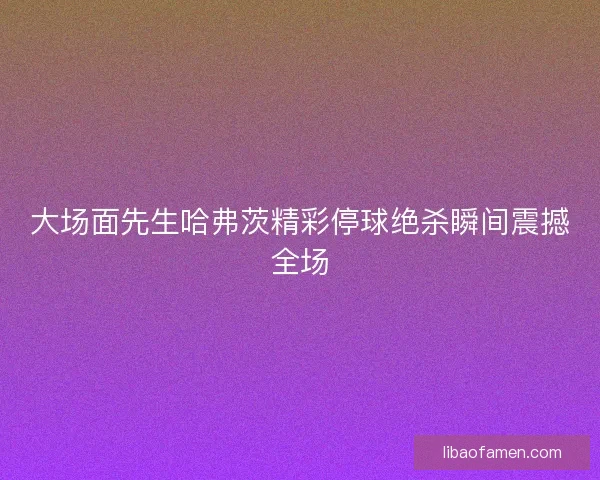 大场面先生哈弗茨精彩停球绝杀瞬间震撼全场 大场面先生哈弗茨精彩停球绝杀瞬间震撼全场